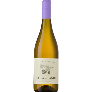 Béla és Bandi Pinot Gris 2024 (0,75L | 14%)