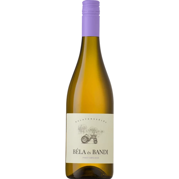 Béla és Bandi Pinot Gris 2024 (0,75L | 14%)